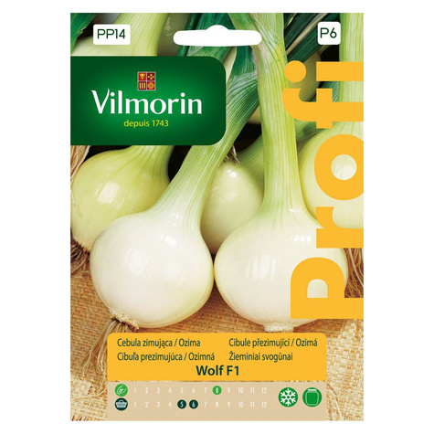 Cebula żółta Wolf F1 zimująca 2g
