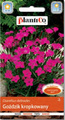 Goździk kropkowany dianthus deltoides 0.5g Plantico