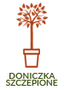 Doniczka C2