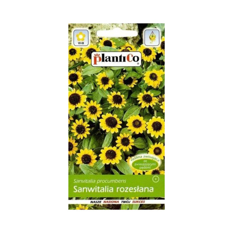 Sanwitalia rozesłana, polegnatka 0,5g