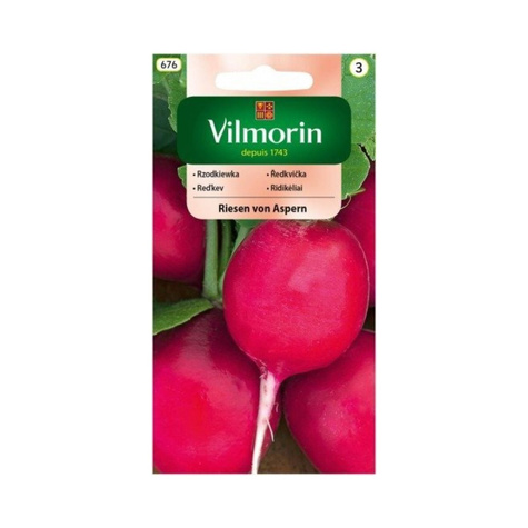 Rzodkiewka okrągła Riesen von Aspern średniowczesna 3g