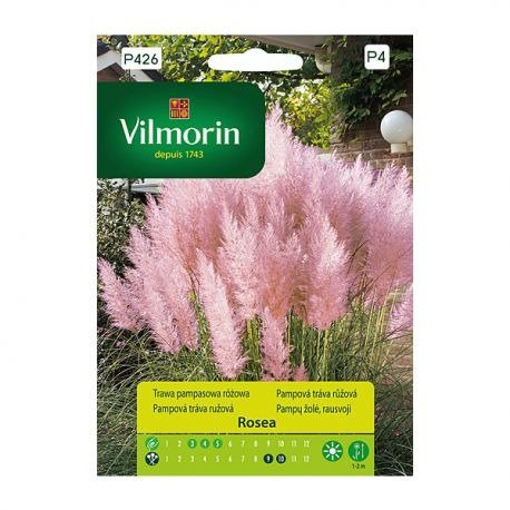 Trawa pampasowa Różowa 0,1g Cortaderia