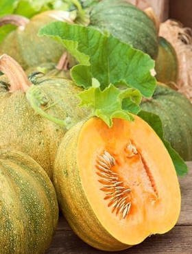 Dynia zwyczajna Danka Polka na pestki 3g