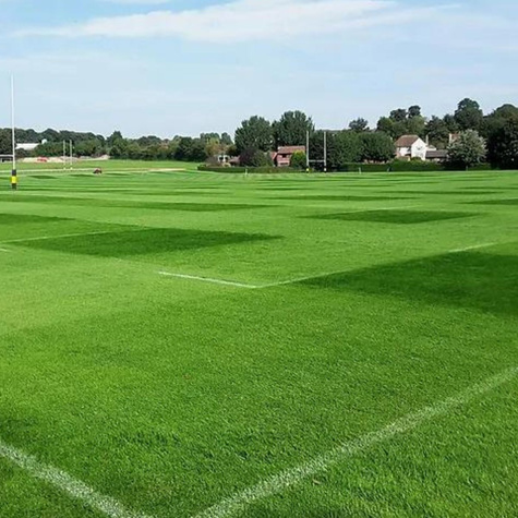 Mieszanka traw Uniwersalna Boiskowa 1kg