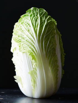 Kapusta pekińska Hilton wczesna 1g