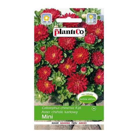 Aster chiński karłowy koszyczkowaty Mini czerwony 1g