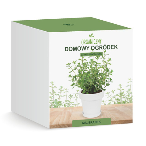 Zestaw do uprawy Majeranku Majeranek zioła na parapet