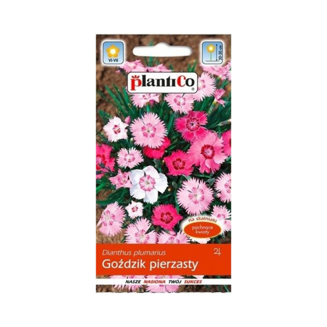 Goździk pierzasty mieszanka 0.5 g Plantico