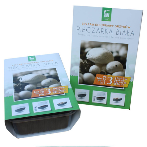 Gotowe podłoże Grzybnia Planto Pieczarka biała 3L + miniszklarenka