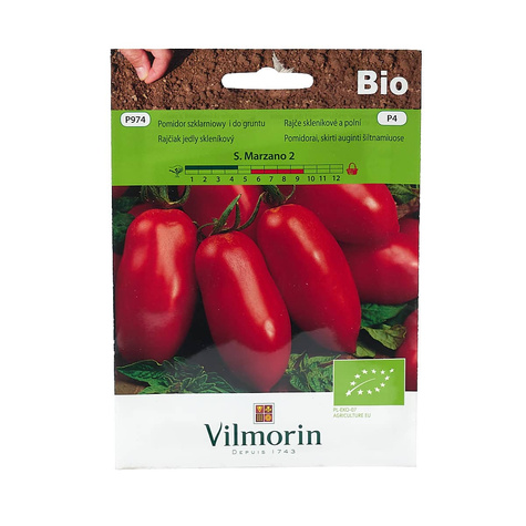 Pomidor szklarniowy Marzano - nasiona ekologiczne BIO