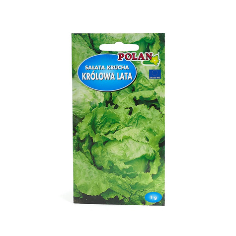 Sałata krucha Królowa Lata wczesna 1g