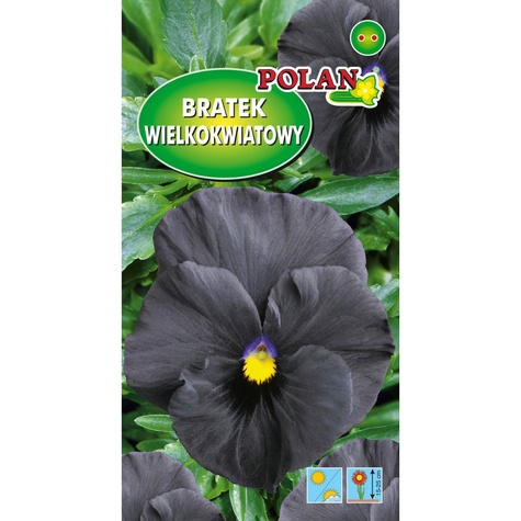 Bratek wielkokwiatowy czarny 0,4g