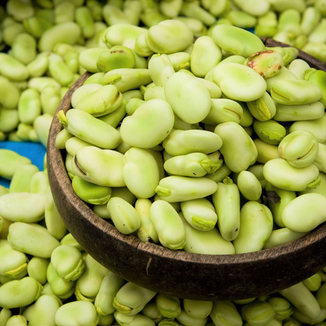 Bób Bachus wczesny 50g