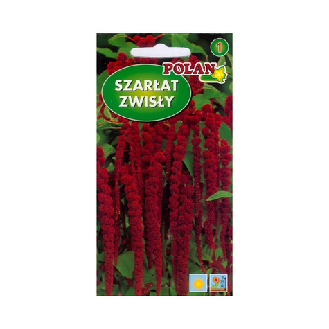 Szarłat zwisający ciemno-czerwony2g Polan