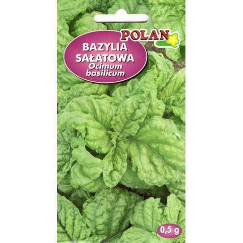 Bazylia pospolita sałatowa Lettuce Leaved 0,5g