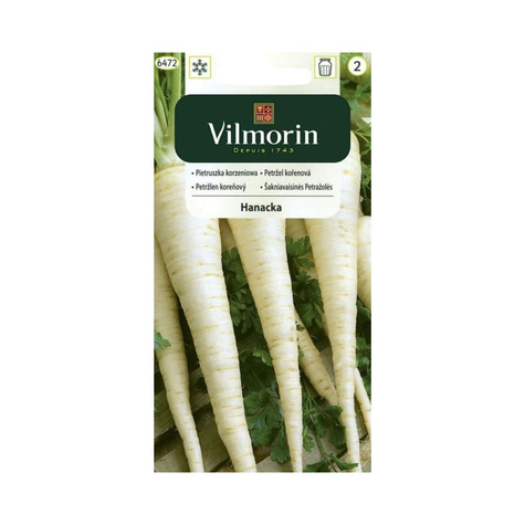 Pietruszka korzeniowa Hanacka późna 5g