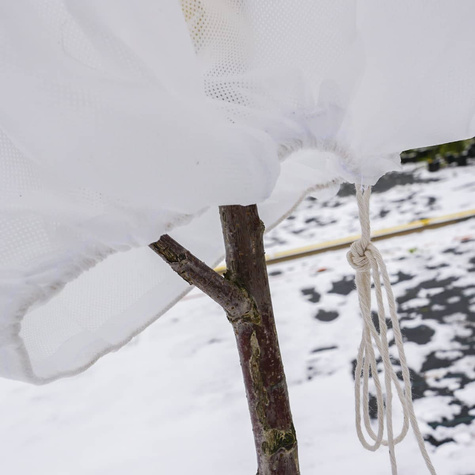 Kaptur Ochronny Zimowy Dla Roślin Agrowłóknina P50 (UV) 160x180cm