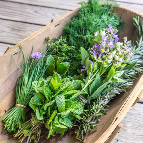 Zestaw Nasiona Ziół Aromatyczne Przyprawy 10 Opakowań Znaczniki