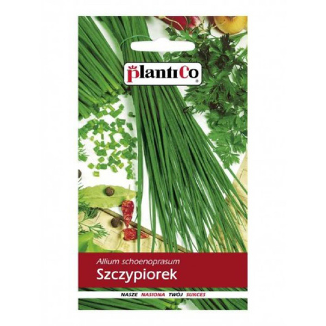 Szczypiorek ogrodowy wieloletni 1 g