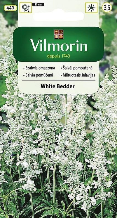 Szałwia omączona White Bedder 0,5g