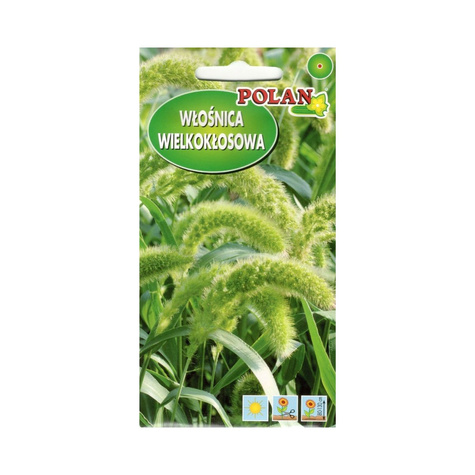 Trawa ozdobna- Włośnica wielkokłosowa 2g Polan