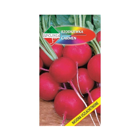 Rzodkiewka kulista Carmen uprawa w gruncie 5g