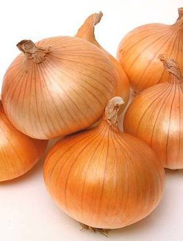 Cebula Wega mieszaniec 100g