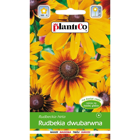 Rudbekia dwubarwna 1g