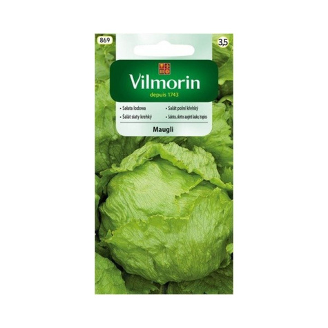 Sałata lodowa Maugli średniowczesna1g