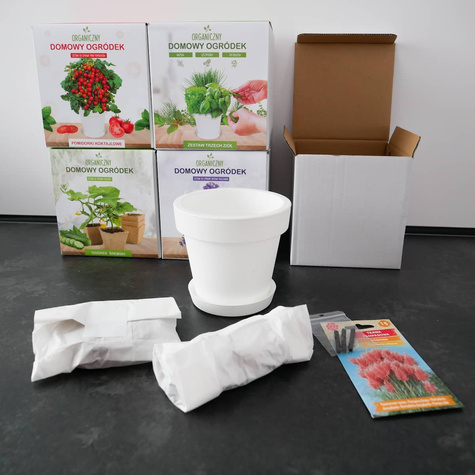 Zestaw do uprawy Żywe kamienie szczęścia sukulenty Zestaw DIY