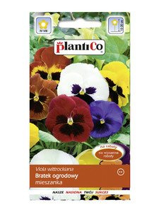 Bratek, Fiołek ogrodowy mix 0,5 g Plantico