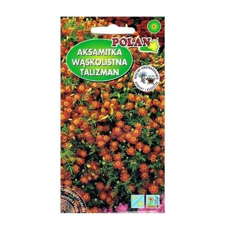 Aksamitka wąskolistna Talizman mahoniowa 0,5g
