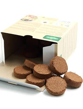 Krążki torfowe Jiffy 36szt/opak