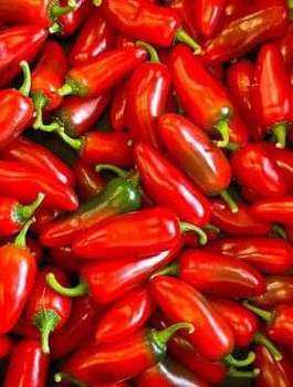 Papryka Ostra Jalapeno czerwona ostra 0,3g