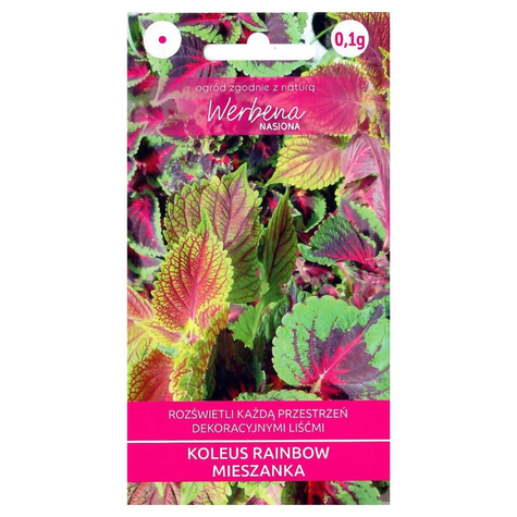 Koleus Rainbow mieszanka 0,2g