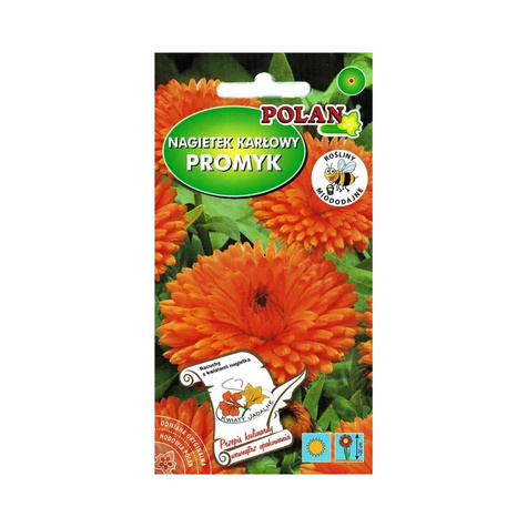 Nagietek karłowy Promyk pomarańczowy 3g