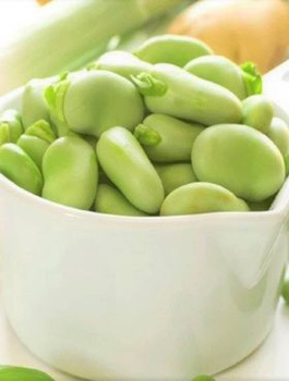 Bób Bolero wczesny 40g