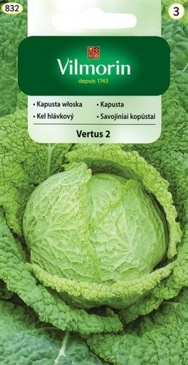 Kapusta włoska Vertus 2 średniopóźna 2g
