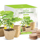 Zestaw do uprawy rozsady Ogórek Śremski