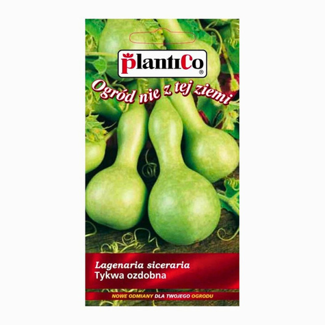 Dynia ozdobna butelkowata Tykwa ozdobna Butelka 1g