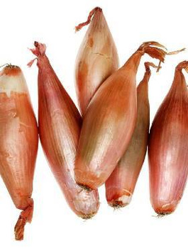 Cebula Rosa mieszaniec, wczesna 500g