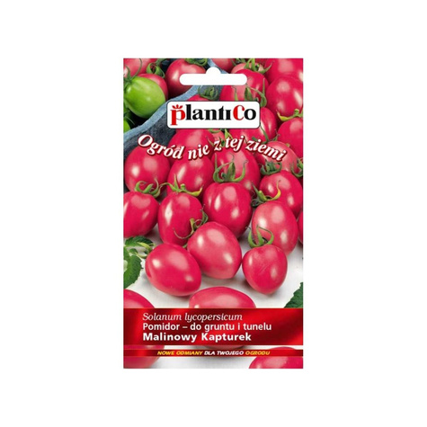 Pomidor gruntowy wysoki Malinowy Kapturek koktajlowy 0,2g