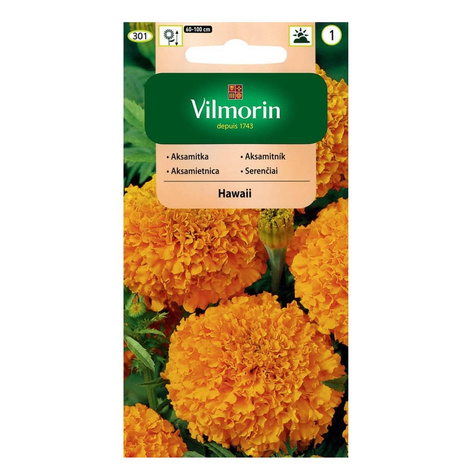 Aksamitka wzniesiona, wyniosła HAWAII 1g