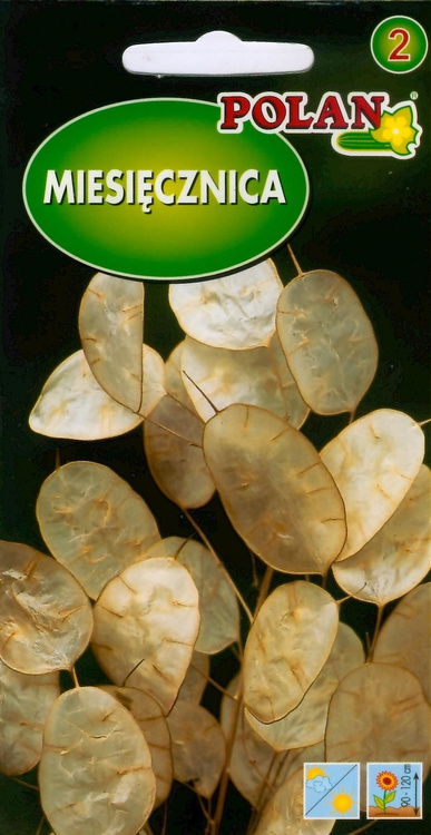 Miesięcznica, Judaszowe srebrniki, Lunaria 2g Polan