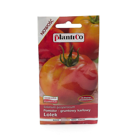 Pomidor gruntowy karłowy Lolek do dłuższego przechowywania 10g