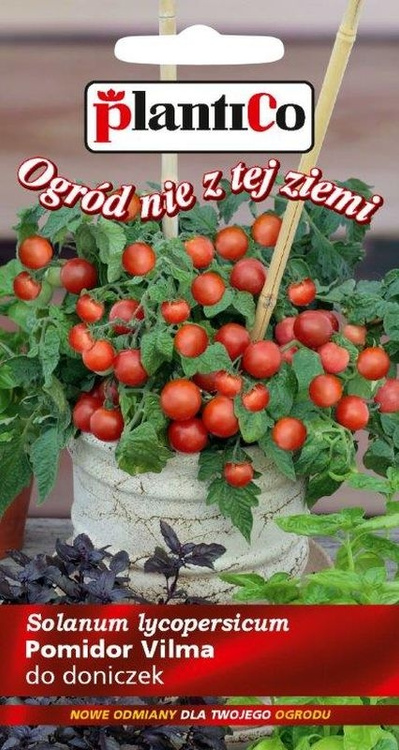 Pomidor gruntowy karłowy Balkonzauber 0,2g