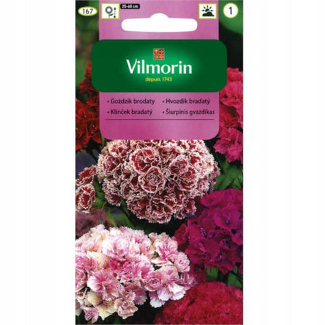 Goździk brodaty mix 1g Vilmorin