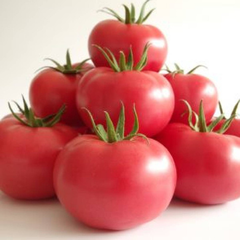 Pomidor pod osłony Honeymoon Seria Profi 7 ziaren