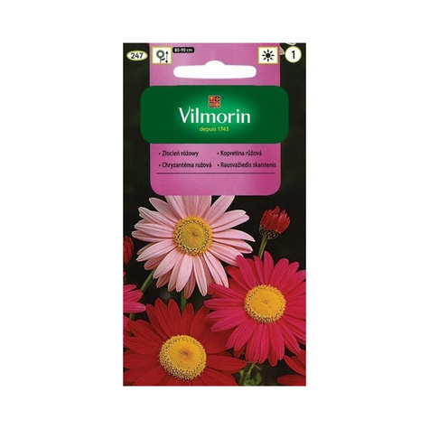 Złocień różowy mix 0,5g Vilmorin