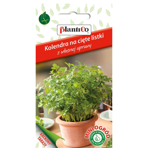 Kolendra na cięte listki MINI OGRÓD 1g
